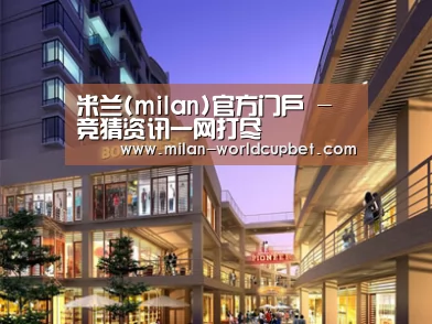 案例展示一(图1)