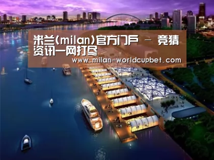 案例展示八